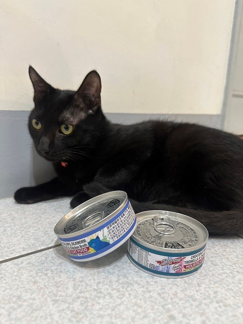 女人知己試用大隊,口碑行銷,部落客行銷,PURRFACT 波菲特貓用主食罐,主食罐,PURRFACT波菲特,貓主食罐,貓罐,PURRFACT波菲特貓用主食罐,魚肉蔓越莓主食罐,鮮嫩雞主食罐,鹿肉雞肉主食罐,牛肉鵪鶉貓主食罐,干貝蠶蛹配方,鱷魚肉白木耳配方,雞肉魚肉配方,安心鶉配方,評價,體驗,適口性佳,心得,成貓適用,高齡貓適用,質地是慕絲狀